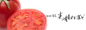 tomato-main