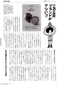 地上