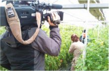 FBS福岡　光樹とまと　「トマト狩り体験」