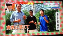 日本テレビ 「ヒルナンデス！」