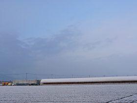 光樹とまと　風景1