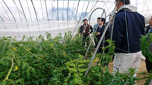 青果卸業様の現地視察の様子