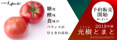 2018年産、光樹とまと予約販売開始