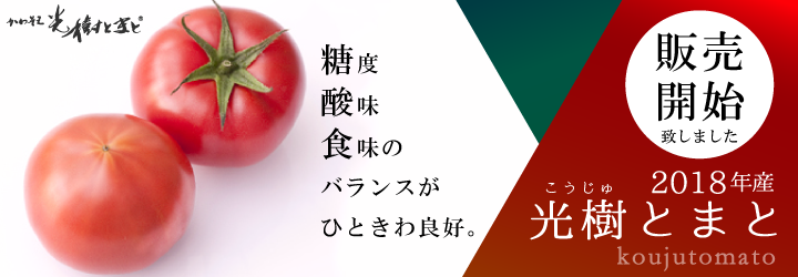 2018年産、光樹とまと販売開始