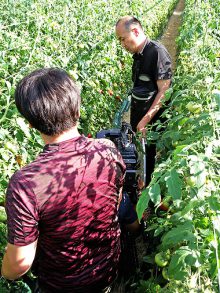 光樹とまと取材0505放送2