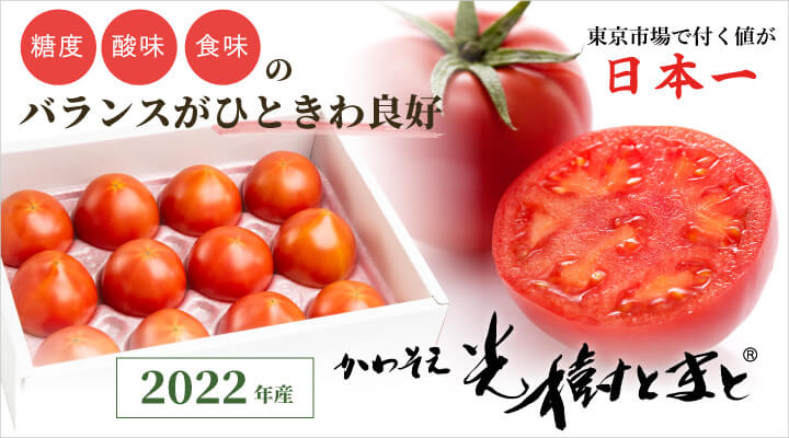 光樹とまと　2021年産予約販売開始