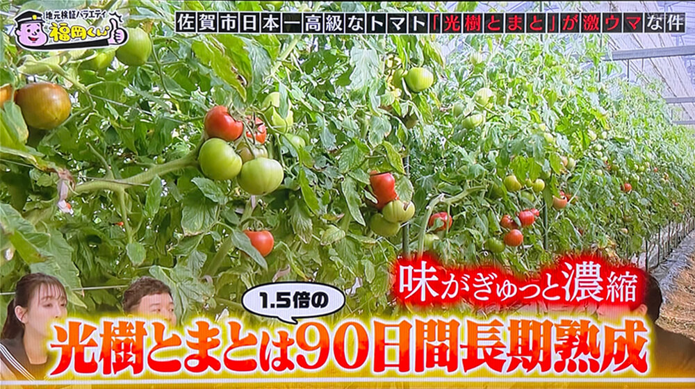 地元検証バラエティ 福岡くん。の放送内容3