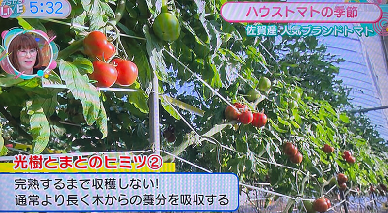 「こちらかちかち生産課」での光樹とまと放送内容2