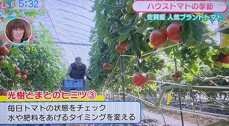 「こちらかちかち生産課」での光樹とまと放送内容3